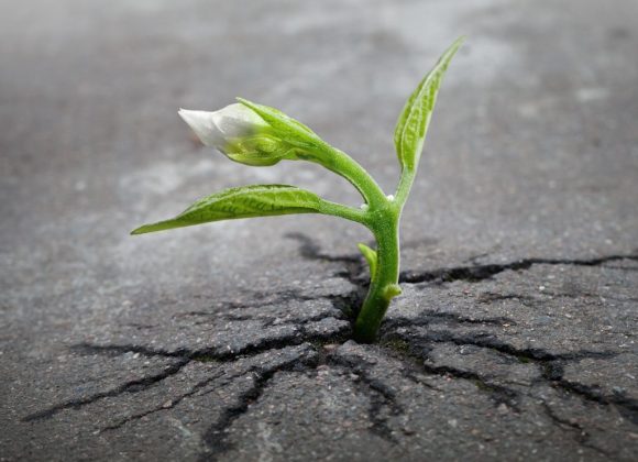 Hope in Times of Suffering